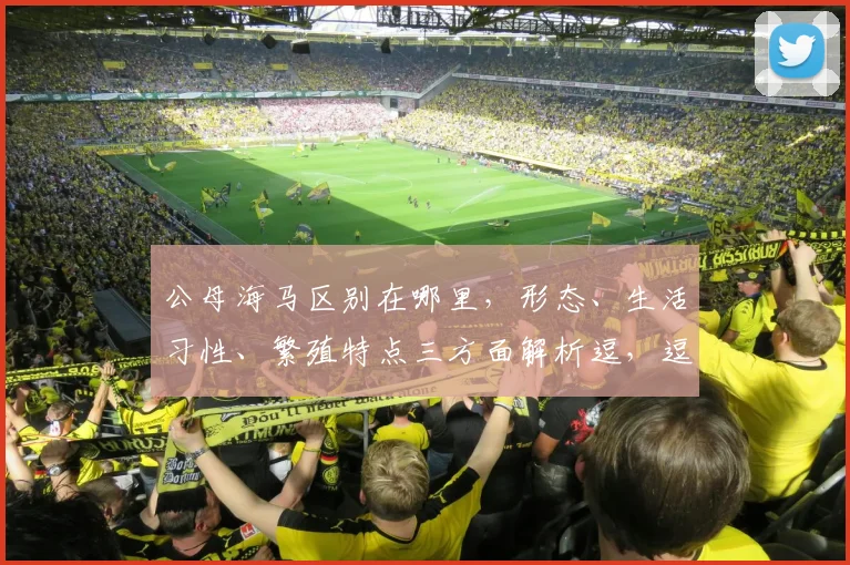 公母海马区别在哪里，形态、生活习性、繁殖特点三方面解析逗，逗，逗