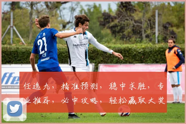 任选九，精准预测，稳中求胜，专业推荐，必中攻略，轻松赢取大奖