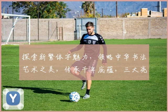 探索新繁体字魅力，领略中华书法艺术之美，传承千年底蕴，三大亮点揭秘