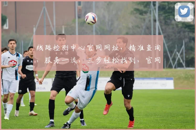 线路检测中心官网网址，精准查询，服务一流，三步轻松找到，官网网址，一网打尽。